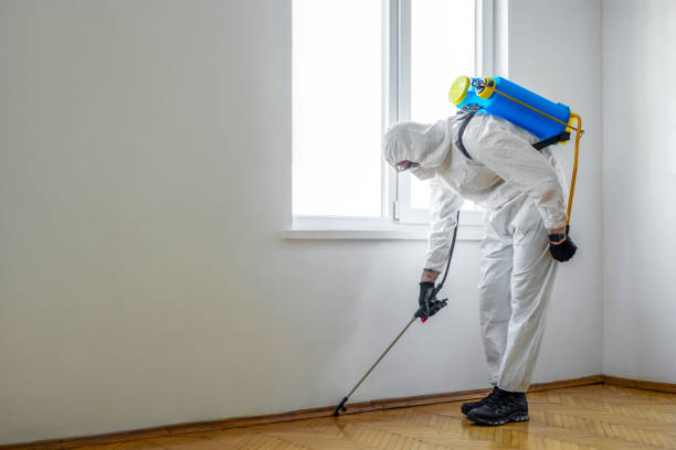 Professional Pest Control in Eureka, MT